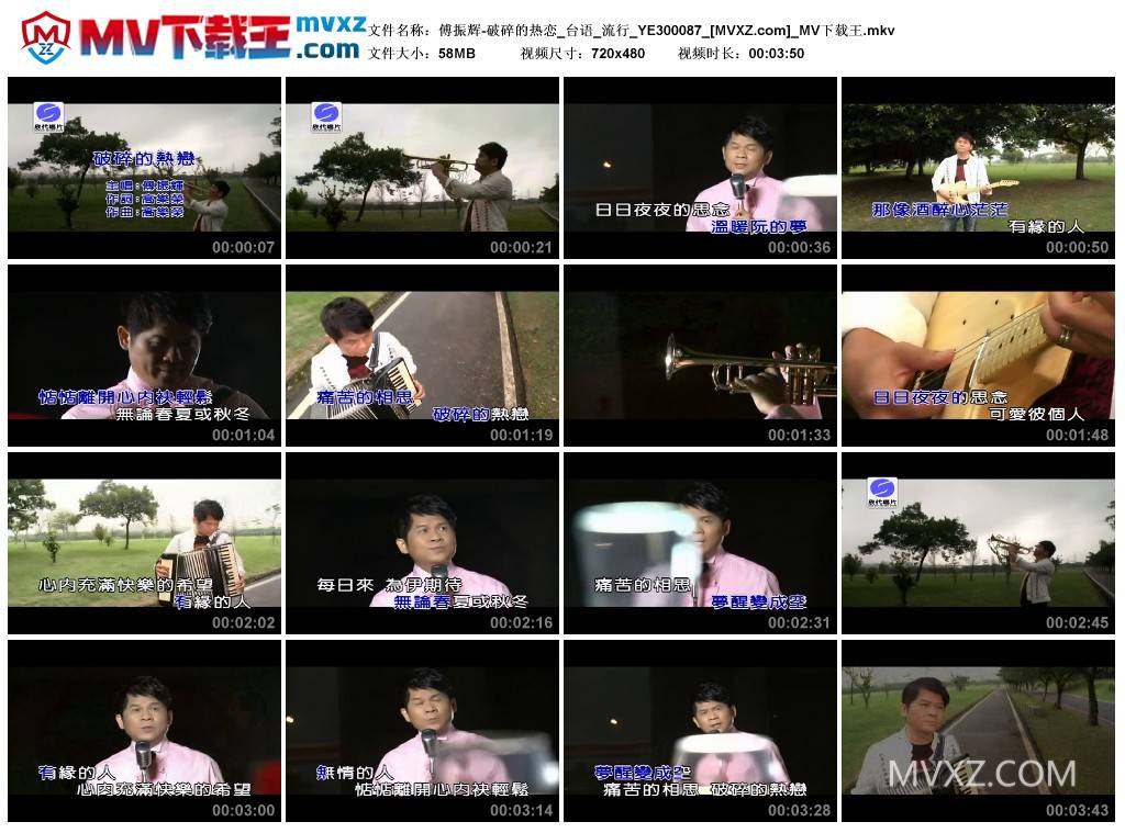 傅振辉-破碎的热恋_台语_流行_YE300087